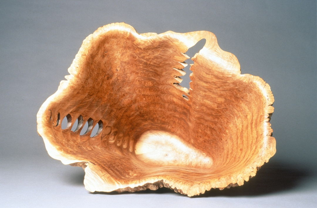 Big leaf maple burl (" Amorphic" Series). Bandsawing  laminated  carving and disc sanding techs.