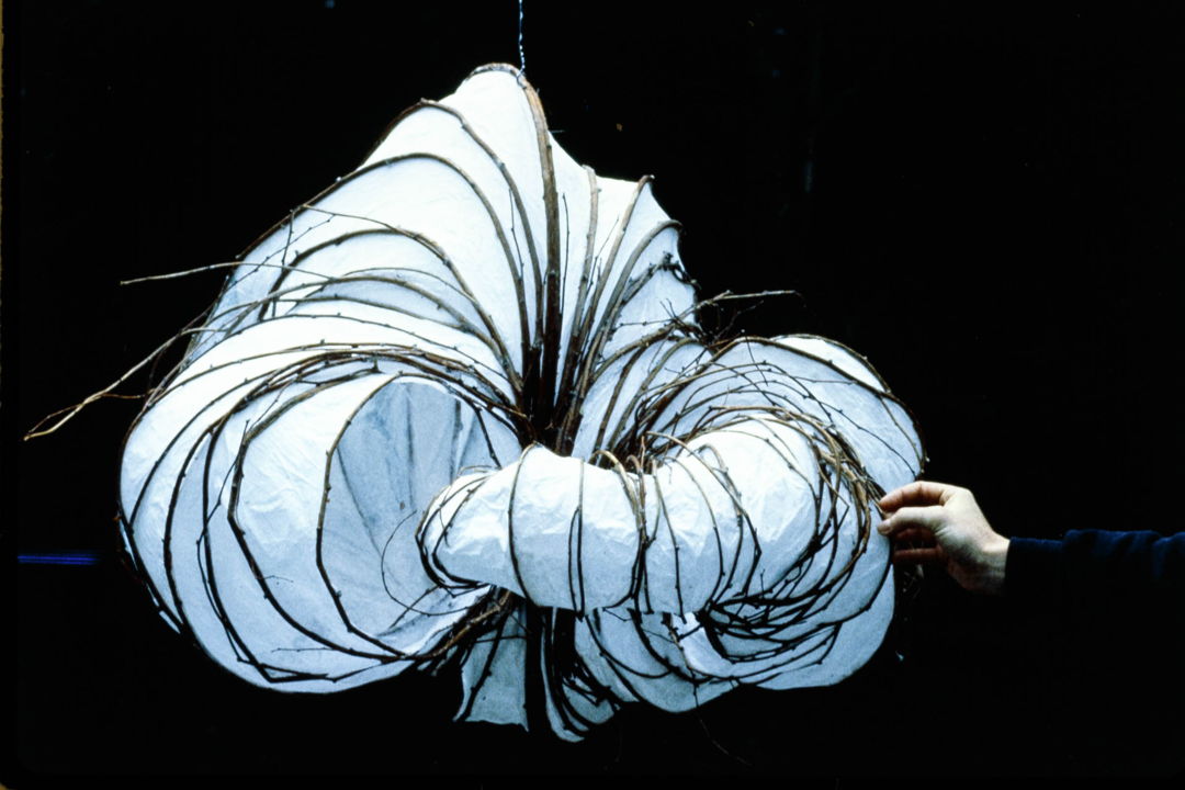 Paper and Vine