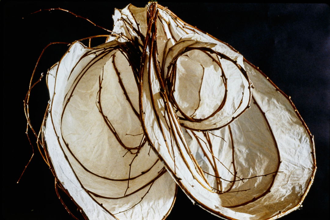 Paper and Vine