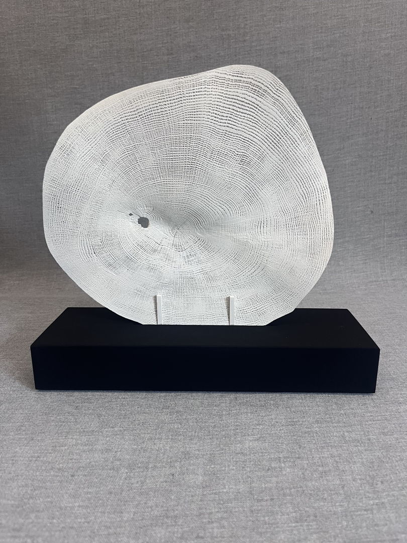 White Oak cross section  sand blasted and whitewashed on Black 4.0 base