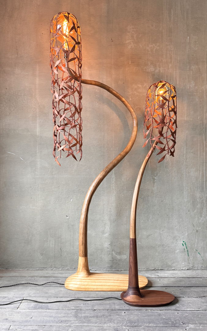 Steam bent Sassafras  Palownia  Cherry  and Walnut