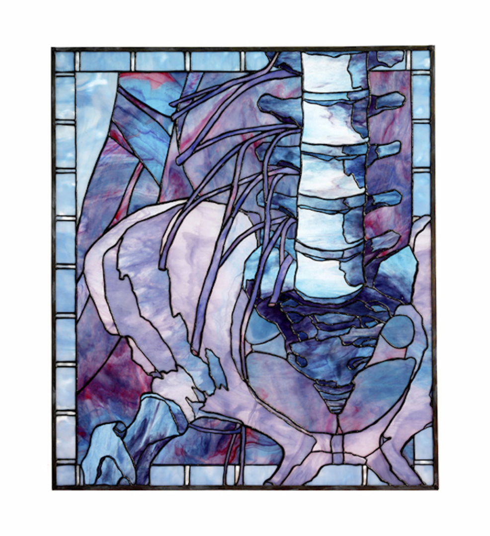 One of the Anatomical stained glass windows showing pelvis and spine. Partially from Henry Gray.