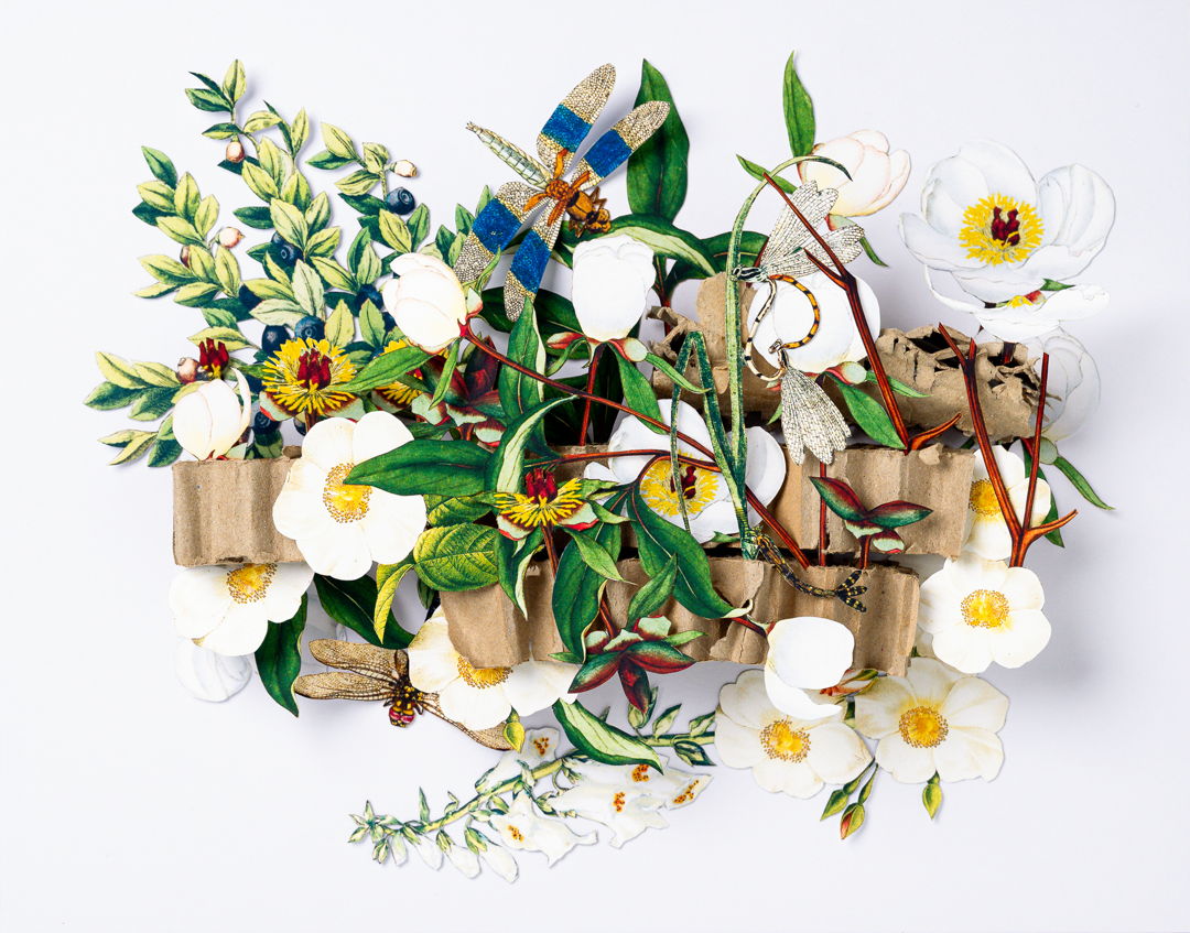 This is a hand cut 3d paper sculpture featuring floral images and dragonflies