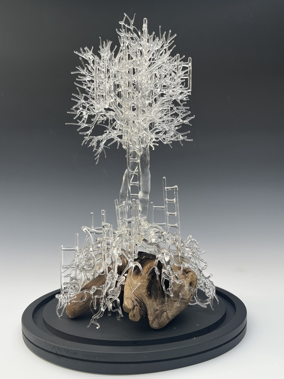 glass tree on stone with ladders