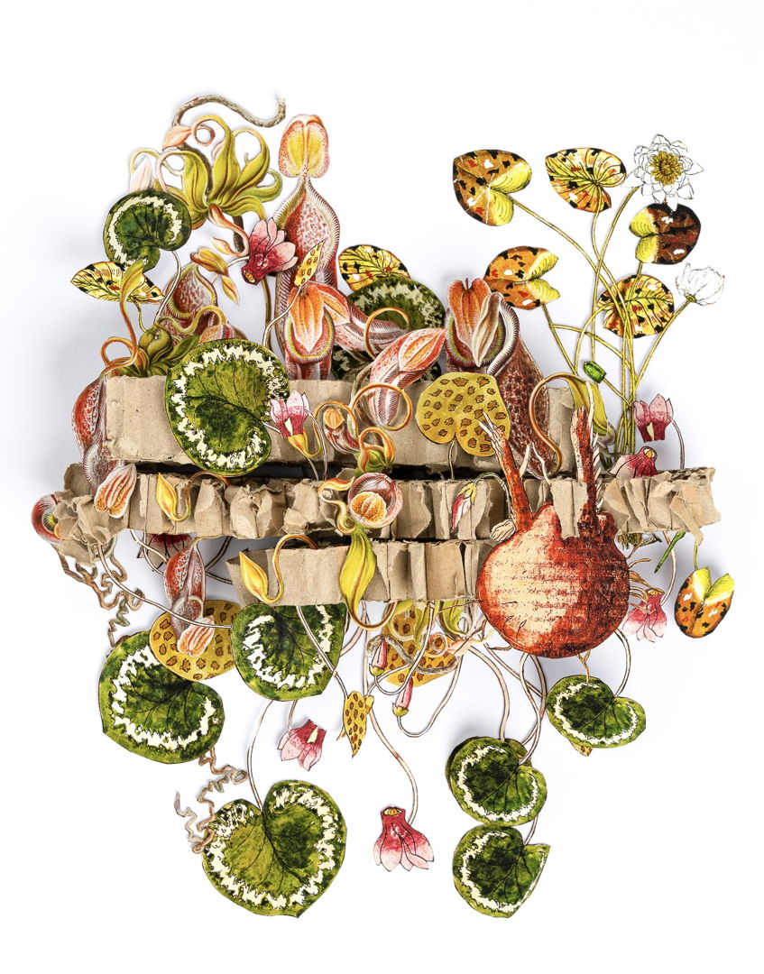 This is a hand cut 3d paper sculpture featuring floral elements and recycled honeycomb cardboard