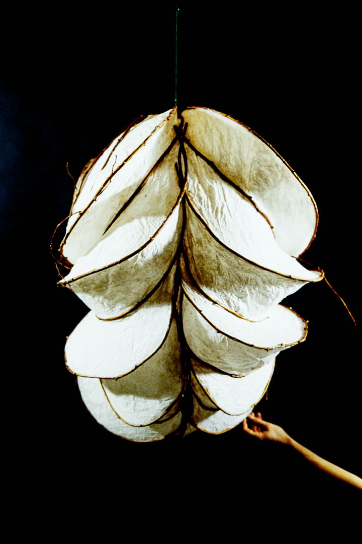 Paper &amp; Vine
