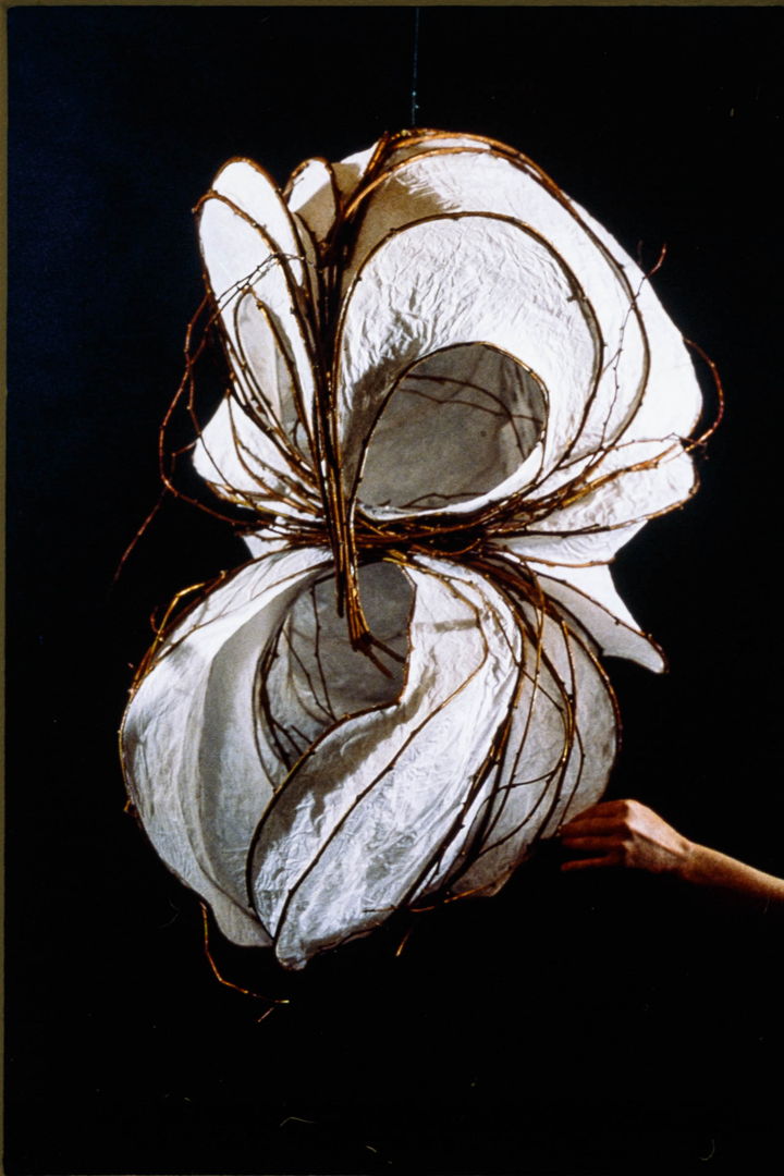 Paper and Vine