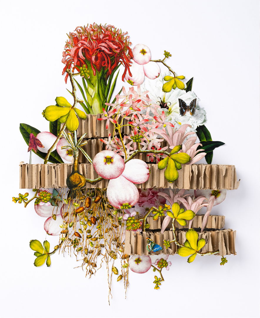 This is a 3d hand cut paper sculpture featuring May Apples and other floral elements. Each piece is inserted and glued into recycled honeycomb cardboard  then glued onto a mat and presented in a shadow box frame