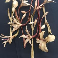 Hand Carved Hand Sanded sculpture in wood Carved in domestic and imported hardwoods