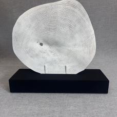 White Oak cross section  sand blasted and whitewashed on Black 4.0 base