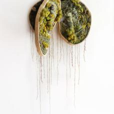 The wooden frame twists and intertwines  supporting itself as it expands off the wall. There are points of diversion and connection  referencing life cycles and interconnectedness. I hope to draw the viewer in with the visual language of moss  greenery  roots  mycelium and mushrooms  and if you look closely there is a surprise.