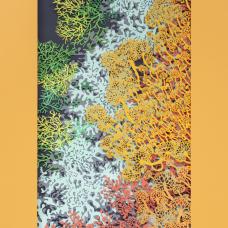 layers of papercut reefs