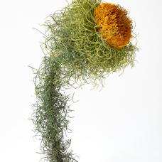 paper flower sculpture