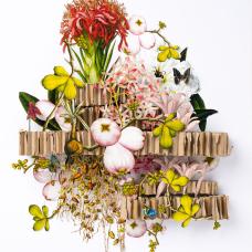 This is a 3d hand cut paper sculpture featuring May Apples and other floral elements. Each piece is inserted and glued into recycled honeycomb cardboard  then glued onto a mat and presented in a shadow box frame